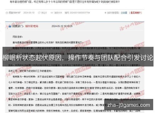 柳岷析状态起伏原因，操作节奏与团队配合引发讨论